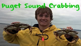 How To Crab in Washingtons Puget Sound [upl. by Elsy]