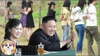 ECCO PERCHÉ KIM JONGUN FA GIUSTIZIARE I CITTADINI IN COREA DEL NORD [upl. by Marcoux]