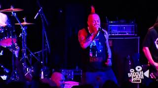 The Exploited  Alternative  Live in Sydney  Moshcam [upl. by Bubb]