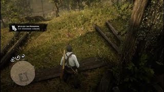 RDR2 Perfect rat carcass location EASY [upl. by Weaver]