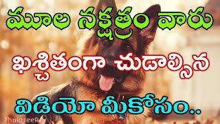 Moola Nakshatra Astro Importance  మూల నక్షత్రం వారు ఖచ్చితంగా చూడాల్సిన విడియో [upl. by Keviv]