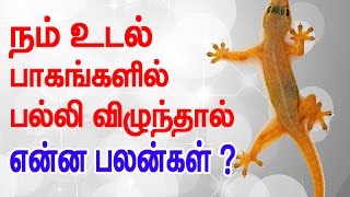 Lizard falling on body parts Interesting prediction based on ancient Shastra [upl. by Fredel]