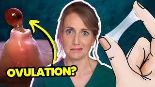 Doctor Answers Top 5 Ovulation Questions  Are you even ovulating [upl. by Sumner]