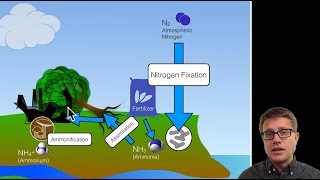 Biogeochemical Cycles [upl. by Jarita156]