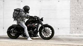 Sportster Iron 883 Brutal Sound [upl. by Leasim]