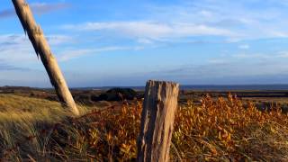 Wangerooge  Bilder einer Insel [upl. by Novj]