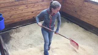 Perfect Stall Cleaning Method [upl. by Atyekram]