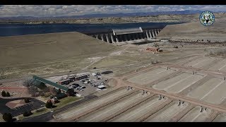 Colorado Fish Hatcheries [upl. by Nalim]