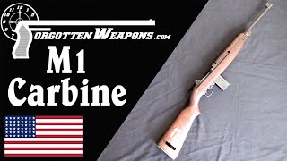 M1 Carbine A Whole New Class of Weapon [upl. by Zehe]