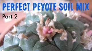 Perfect Peyote Soil Mix Part 2  Lophophora Williamsii soil recipe [upl. by Amble]