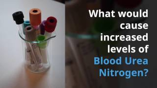 Blood Urea Nitrogen BUN Nursing Lab Values [upl. by Isleen]