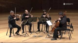 Franz Schubert String Quintet in C Major D 956 [upl. by Costanzia]