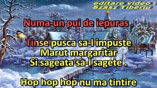 Colind  Marut margaritar karaoke [upl. by Selway]