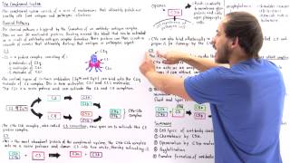 Classical Pathway of Complement System [upl. by Quintilla362]