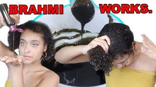 Brahmi Hair Thickener 2 ways to use it for GROWTH [upl. by Eiramanig]