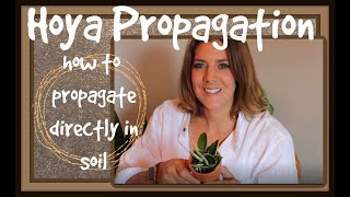 Detailed Hoya Propagation in Soil [upl. by Curr]