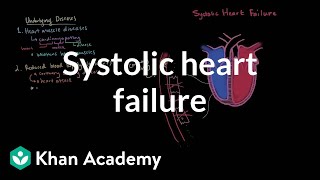 Systolic heart failure pathophysiology  Circulatory System and Disease  NCLEXRN  Khan Academy [upl. by Nerral]