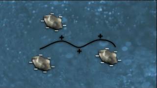 WSO Water Treatment Grade 1 Coagulation amp Flocculation Ch 8 [upl. by Benyamin100]