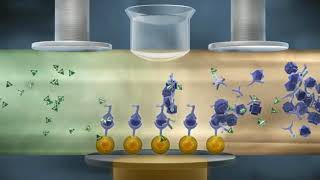 How Electrochemiluminescence ECL Works [upl. by Hicks]