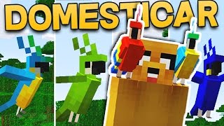 COMO DOMESTICAR UN LORO EN MINECRAFT  TUTORIAL MINECRAFT [upl. by Nomyar]