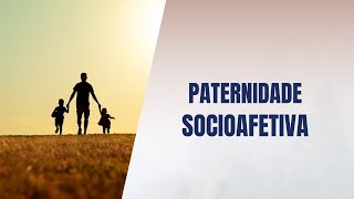 Paternidade socioafetiva [upl. by Eiba]