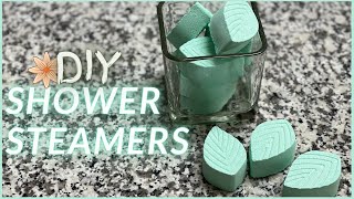 DIY SHOWER STEAMERS  Easy Recipe for a Relaxing Shower [upl. by Noryv554]