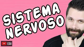 SISTEMA NERVOSO  FISIOLOGIA  Aula  Biologia com Samuel Cunha [upl. by Sices705]