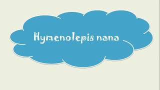 Hymenolepis nana amp diminuta amp Dipylidium caninum [upl. by Attiuqihc]