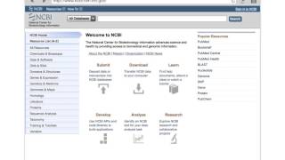 Bioinformatics FASTA and BLAST Ch 20 [upl. by Asilat]