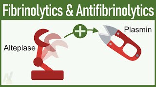 Fibrinolytics amp Antifibrinolytics Pharmacology [upl. by Niroc]