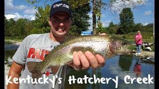 Trout Fishing Kentuckys Hatchery Creek [upl. by Strenta123]