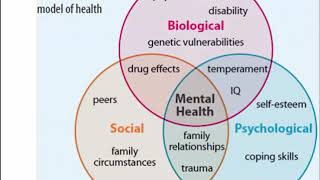 1 3 BioPsychosocial Framework Video [upl. by Yasmeen370]