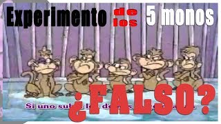 EL ¿FALSO EXPERIMENTO DE LOS 5 MONOS  por Psicovlog [upl. by Einnad]