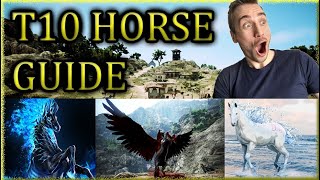 Black Desert T10 Mythical Horse Guide [upl. by Demeyer259]