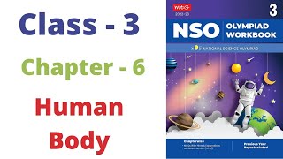 NSO National Science Olympiad Class  3  C  6  Human Body [upl. by Behnken]