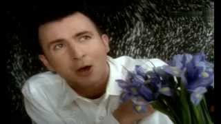 Soft Cell  Say Hello Wave Goodbye 1986 [upl. by Ecinev]