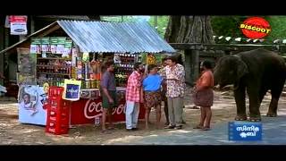 Pattabhishekam Malayalam Movie comedy scene jayaram harishree ashokan [upl. by Clothilde]