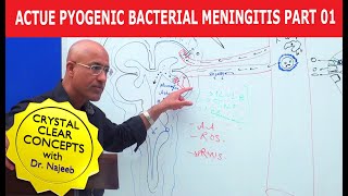 Acute Pyogenic Bacterial Meningitis Part 1 🩺 [upl. by Kennard]