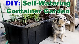 DIY SelfWatering Container Garden [upl. by Beane990]