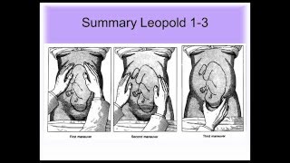 DAROGA Essential Clinical skills blood pressure fundal height part 1 examination abdomen [upl. by Nedac]