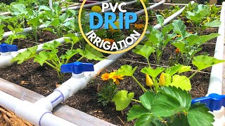 PVC Drip Irrigation System  EASY DIY [upl. by Enrica]