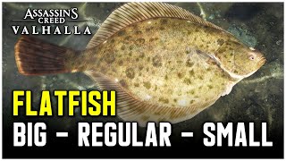 Assassins Creed Valhalla  Flatfish Fish Locations Big  Regular  Small [upl. by Arimahs]