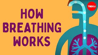 How breathing works  Nirvair Kaur [upl. by Molly]