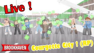 Live Roblox Brook Haven  Courgette City  En Vocal Avec Les Abos 😁 BROOKHAVEN RP STORY [upl. by Collins]