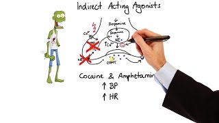 Pharmacology  ADRENERGIC RECEPTORS amp AGONISTS MADE EASY [upl. by Oijimer]