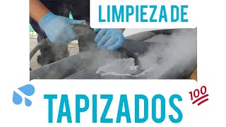 GRATIS  APRENDE a Limpiar el TAPIZADO Correctamente [upl. by Rachelle]