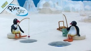 Pingu has a fishing competition  Pingu Official Channel [upl. by Cyma980]