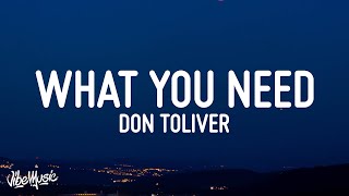 Don Toliver  What You Need Lyrics [upl. by Netsirk]