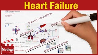 Pharmacology  Heart Failure Symptoms Causes and Treatment Options FROM A TO Z [upl. by Lombard210]