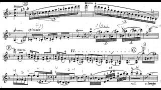 Waxman  Carmen Fantasy  violin score [upl. by Bowra]